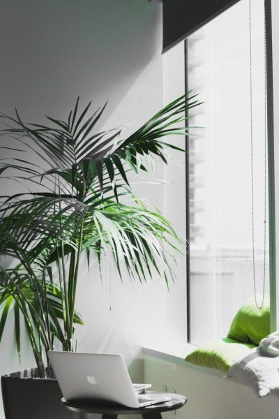 office 9 office 9